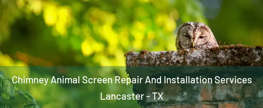  Chimney Animal Screen Repair And Installation Services Lancaster - TX