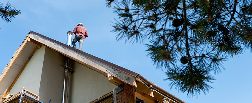 Birds Removal Contractors from Chimney in Lancaster, TX